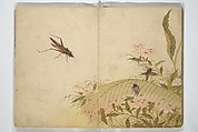 Shunkei Picture Album (Shunkei gafu) 春渓画譜, Mori Shunkei 森春渓 (Japanese, active 1800–20), Woodblock printed book (orihon, accordion-style); ink and color on paper, Japan