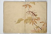 Shunkei Picture Album (Shunkei gafu) 春渓画譜, Mori Shunkei 森春渓 (Japanese, active 1800–20), Woodblock printed book (orihon, accordion-style); ink and color on paper, Japan