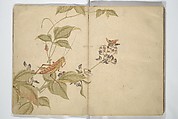 Shunkei Picture Album (Shunkei gafu) 春渓画譜, Mori Shunkei 森春渓 (Japanese, active 1800–20), Woodblock printed book (orihon, accordion-style); ink and color on paper, Japan