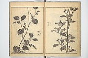 Old Manji’s Cursive Picture Album (Manji-ō sōhitsu gafu) 卍翁艸筆画譜, Katsushika Hokusai 葛飾北斎 (Japanese, Tokyo (Edo) 1760–1849 Tokyo (Edo)), Woodblock printed book; ink on paper, Japan