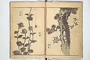 Old Manji’s Cursive Picture Album (Manji-ō sōhitsu gafu) 卍翁艸筆画譜, Katsushika Hokusai 葛飾北斎 (Japanese, Tokyo (Edo) 1760–1849 Tokyo (Edo)), Woodblock printed book; ink on paper, Japan