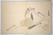 Collected Haiku Poems (Hokku shū) 発句集, Genki 源琦 (Komai Ki 駒井琦 (Japanese, 1747–1797), Woodblock printed book (orihon, accordion-style); ink and color on paper, Japan