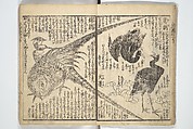 Picture Book on the Use of Coloring, first volume (Ehon saishikitsū shohen) 繪本彩色通 初編, Katsushika Hokusai 葛飾北斎 (Japanese, Tokyo (Edo) 1760–1849 Tokyo (Edo)), Woodblock printed book; ink on paper and color scribbles, Japan