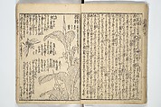 Picture Book on the Use of Coloring, first volume (Ehon saishikitsū shohen) 繪本彩色通 初編, Katsushika Hokusai 葛飾北斎 (Japanese, Tokyo (Edo) 1760–1849 Tokyo (Edo)), Woodblock printed book; ink on paper and color scribbles, Japan