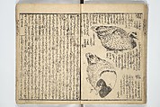 Picture Book on the Use of Coloring, first volume (Ehon saishikitsū shohen) 繪本彩色通 初編, Katsushika Hokusai 葛飾北斎 (Japanese, Tokyo (Edo) 1760–1849 Tokyo (Edo)), Woodblock printed book; ink on paper and color scribbles, Japan