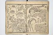 Picture Book on the Use of Coloring, first volume (Ehon saishikitsū shohen) 繪本彩色通 初編, Katsushika Hokusai 葛飾北斎 (Japanese, Tokyo (Edo) 1760–1849 Tokyo (Edo)), Woodblock printed book; ink on paper and color scribbles, Japan