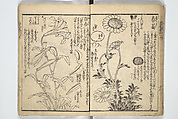 Picture Book on the Use of Coloring, first volume (Ehon saishikitsū shohen) 繪本彩色通 初編, Katsushika Hokusai 葛飾北斎 (Japanese, Tokyo (Edo) 1760–1849 Tokyo (Edo)), Woodblock printed book; ink on paper and color scribbles, Japan