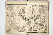 Picture Book on the Use of Coloring, first volume (Ehon saishikitsū shohen) 繪本彩色通 初編, Katsushika Hokusai 葛飾北斎 (Japanese, Tokyo (Edo) 1760–1849 Tokyo (Edo)), Woodblock printed book; ink on paper and color scribbles, Japan