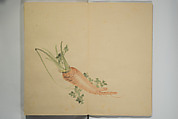 Untitled Picture Album of Twenty-five Watercolor Paintings, Nishiyama Hōen 西山芳園 (Japanese, 1807–1867), Orihon, accordion-style; ink and color on paper, Japan