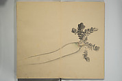 Untitled Picture Album of Twenty-five Watercolor Paintings, Nishiyama Hōen 西山芳園 (Japanese, 1807–1867), Orihon, accordion-style; ink and color on paper, Japan