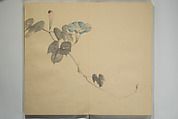Untitled Picture Album of Twenty-five Watercolor Paintings, Nishiyama Hōen 西山芳園 (Japanese, 1807–1867), Orihon, accordion-style; ink and color on paper, Japan