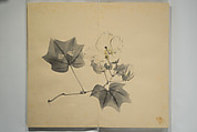 Untitled Picture Album of Twenty-five Watercolor Paintings, Nishiyama Hōen 西山芳園 (Japanese, 1807–1867), Orihon, accordion-style; ink and color on paper, Japan