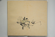 Untitled Picture Album of Twenty-five Watercolor Paintings, Nishiyama Hōen 西山芳園 (Japanese, 1807–1867), Orihon, accordion-style; ink and color on paper, Japan