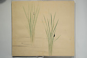 Untitled Picture Album of Twenty-five Watercolor Paintings, Nishiyama Hōen 西山芳園 (Japanese, 1807–1867), Orihon, accordion-style; ink and color on paper, Japan