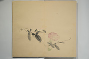 Untitled Picture Album of Twenty-five Watercolor Paintings, Nishiyama Hōen 西山芳園 (Japanese, 1807–1867), Orihon, accordion-style; ink and color on paper, Japan