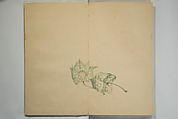 Untitled Picture Album of Twenty-five Watercolor Paintings, Nishiyama Hōen 西山芳園 (Japanese, 1807–1867), Orihon, accordion-style; ink and color on paper, Japan