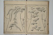 Contemporary Kimono Patterns (Tōsei hiinagata) 当世ひいな形, Hishikawa Moronobu 菱川師宣 (Japanese, 1618–1694), First volume from a set of woodblock-printed books; ink on paper, Japan