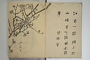 The Nanpo Album (Nanpo jō)  南畝帖, Nagayama Kōin (Hirotora) 長山孔寅画・蜀山人 (Japanese, 1765–1849), Woodblock printed book; ink and color on paper, Japan
