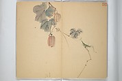 Album [of works] by the master Koiso Zensetsusō (complete) (Koiso Zensentsusō sensei gajō-kan) 小磯前雪窓先生画帖完, Koiso Zensetsusō 小磯前雪窓 (Japanese, 1832–1902), Accordion album; ink and color on paper, Japan