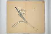 Album [of works] by the master Koiso Zensetsusō (complete) (Koiso Zensentsusō sensei gajō-kan) 小磯前雪窓先生画帖完, Koiso Zensetsusō 小磯前雪窓 (Japanese, 1832–1902), Accordion album; ink and color on paper, Japan