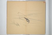 Album [of works] by the master Koiso Zensetsusō (complete) (Koiso Zensentsusō sensei gajō-kan) 小磯前雪窓先生画帖完, Koiso Zensetsusō 小磯前雪窓 (Japanese, 1832–1902), Accordion album; ink and color on paper, Japan