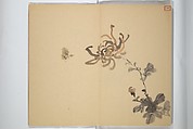 Album [of works] by the master Koiso Zensetsusō (complete) (Koiso Zensentsusō sensei gajō-kan) 小磯前雪窓先生画帖完, Koiso Zensetsusō 小磯前雪窓 (Japanese, 1832–1902), Accordion album; ink and color on paper, Japan