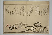 Gifts of the Ebb Tide (The Shell Book) (Shiohi no tsuto) 潮干のつと(都登), Kitagawa Utamaro 喜多川歌麿 (Japanese, ca. 1754–1806), Woodblock printed book (orihon, accordion-style); ink, color, mica, and gold-leaf on paper, Japan