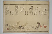 Gifts of the Ebb Tide (The Shell Book) (Shiohi no tsuto) 潮干のつと(都登), Kitagawa Utamaro 喜多川歌麿 (Japanese, ca. 1754–1806), Woodblock printed book (orihon, accordion-style); ink, color, mica, and gold-leaf on paper, Japan