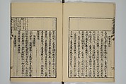 The Mustard Seed Garden Painting Manual (Yakubon Kaishien gaden) 譯本芥子園畫傳, Kashiwagi Jotei 柏木如亭 (Japanese, 1763–1819), Woodblock printed books; ink and color (on frontispiece only) on paper, Japan