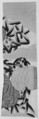 Kosode Fragment
, Ground of dye-patterned (somewake) satin damask (rinzu), Japan