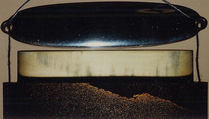 Case (Inrō) with Design of Flying Cuckoo in Flight above Pines (obverse); Bonito (Fish) on Bamboo Leaves (reverse), Toyōsai (1772–1845), Black lacquer with sprinkled gold and silver makie and mother-of-pearl
Ojime: bead with openwork design of waves; silver
Netsuke: fish laid on bamboo branch; stained ivory, Japan