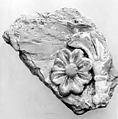 Fragment of a Relief, Clay, Central Asia