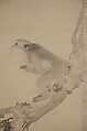 Monkey and Bee, Okamoto Toyohiko (1773–1845), Hanging scroll; ink and color on silk, Japan