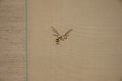 Monkey and Bee, Okamoto Toyohiko (1773–1845), Hanging scroll; ink and color on silk, Japan