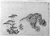 Toad and Flowers, Hokusai School, Unmounted painting; ink and color on paper, Japan