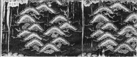 Piece, Silk, metallic thread, Japan