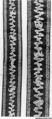 Trimming Bands, Silk, metallic thread, China