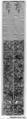 Sleeve Band, Silk;  on silk, China