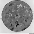 Medallion, Silk, metallic thread; on silk, China