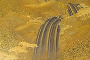Writing Box (suzuribako) with Waterfall and Auspicious Characters, Lacquered wood with gold and silver takamaki-e, hiramaki-e, togidashimaki-e, and gold inlay on nashiji ground, Japan