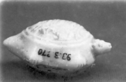 Ornament in the Form of a Tortoise, White porcelain (Hirado ware), Japan