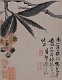 Vegetables, Shitao (Zhu Ruoji) (Chinese, 1642–1707), Album of four leaves; ink and color on paper, China