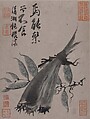Vegetables, Shitao (Zhu Ruoji) (Chinese, 1642–1707), Album of four leaves; ink and color on paper, China