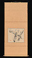 Cycad, Ike no Taiga (Japanese, 1723–1776), Hanging scroll; ink on paper, Japan
