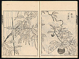 Collected Manual of Paintings, Hanabusa Ippō (Japanese, 1691–1760), Three woodblock printed books; ink on paper, Japan