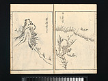 Landscapes by I Fukyū (Yi Fujiu) and Ike no Taiga (I Fukyū Ike Taiga sansui gafu), Illustrations by Kan Tenjū (Japanese, 1727–1795), Set of two woodblock-printed books; ink on paper, Japan