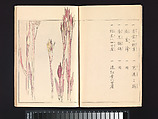 Seitei’s Birds and Flowers Painting Manual, Watanabe Seitei (Japanese, 1851–1918), Woodblock printed book (Japanese-style binding); ink and color on paper, Japan