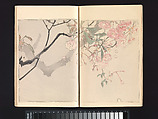 Seitei’s Birds and Flowers Painting Manual, Watanabe Seitei (Japanese, 1851–1918), Woodblock printed book (Japanese-style binding); ink and color on paper, Japan