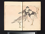 Seitei’s Birds and Flowers Painting Manual, Watanabe Seitei (Japanese, 1851–1918), Woodblock printed book (Japanese-style binding); ink and color on paper, Japan