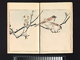 Seitei’s Birds and Flowers Painting Manual, Watanabe Seitei (Japanese, 1851–1918), Woodblock printed book (Japanese-style binding); ink and color on paper, Japan